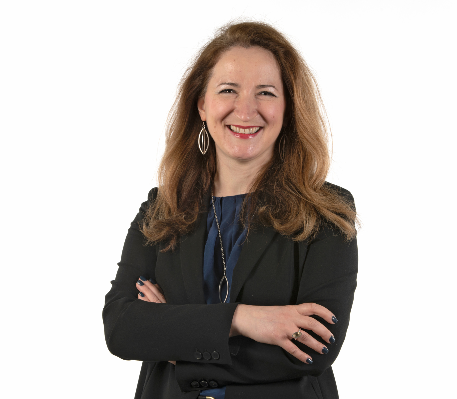 Prof Mirela Delibegovic